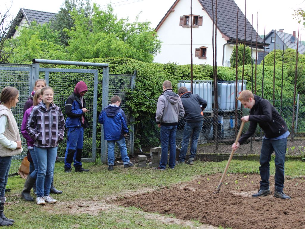 Schulgarten